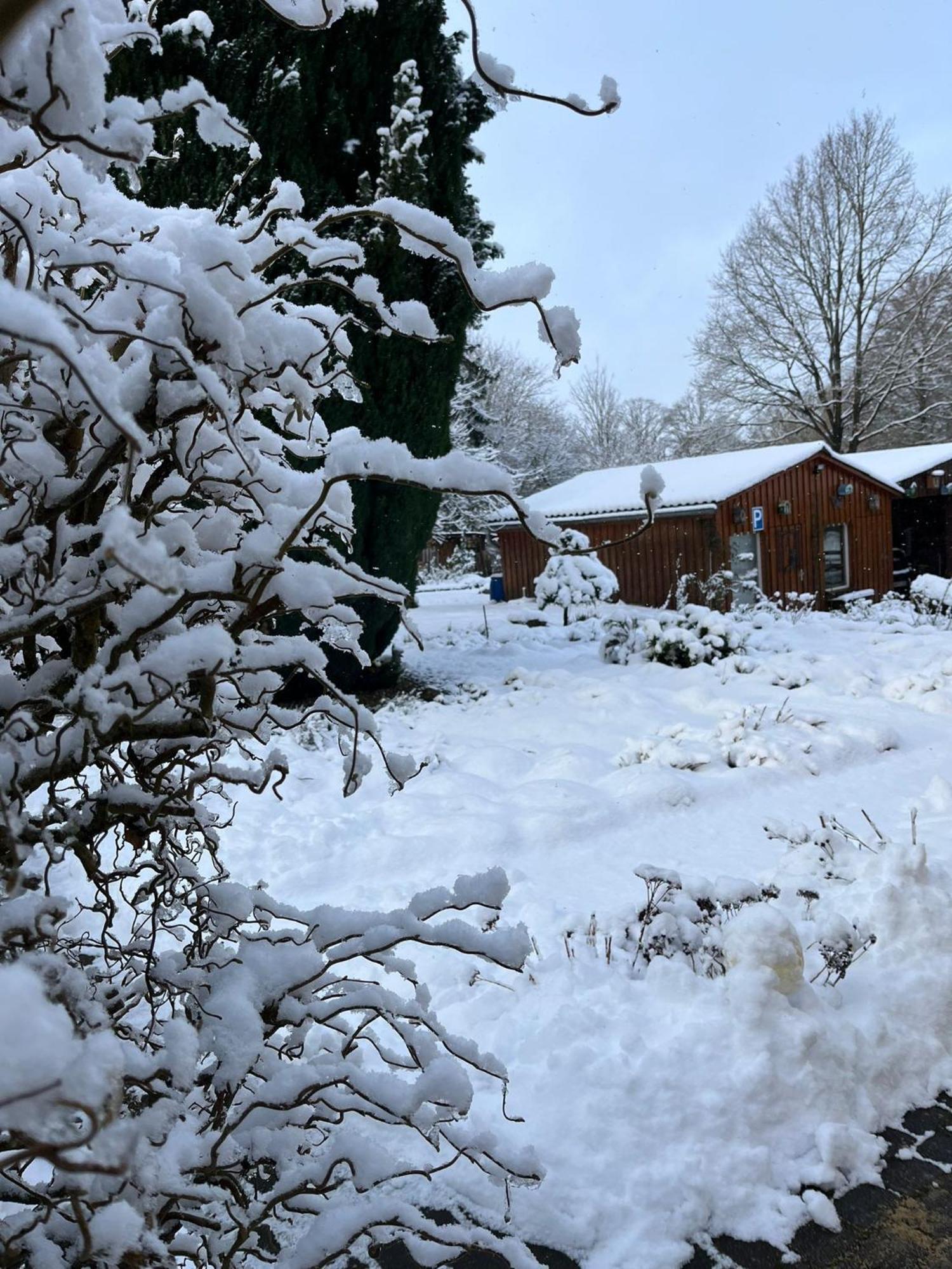 Pension Sander Hotell Bispingen Exteriör bild