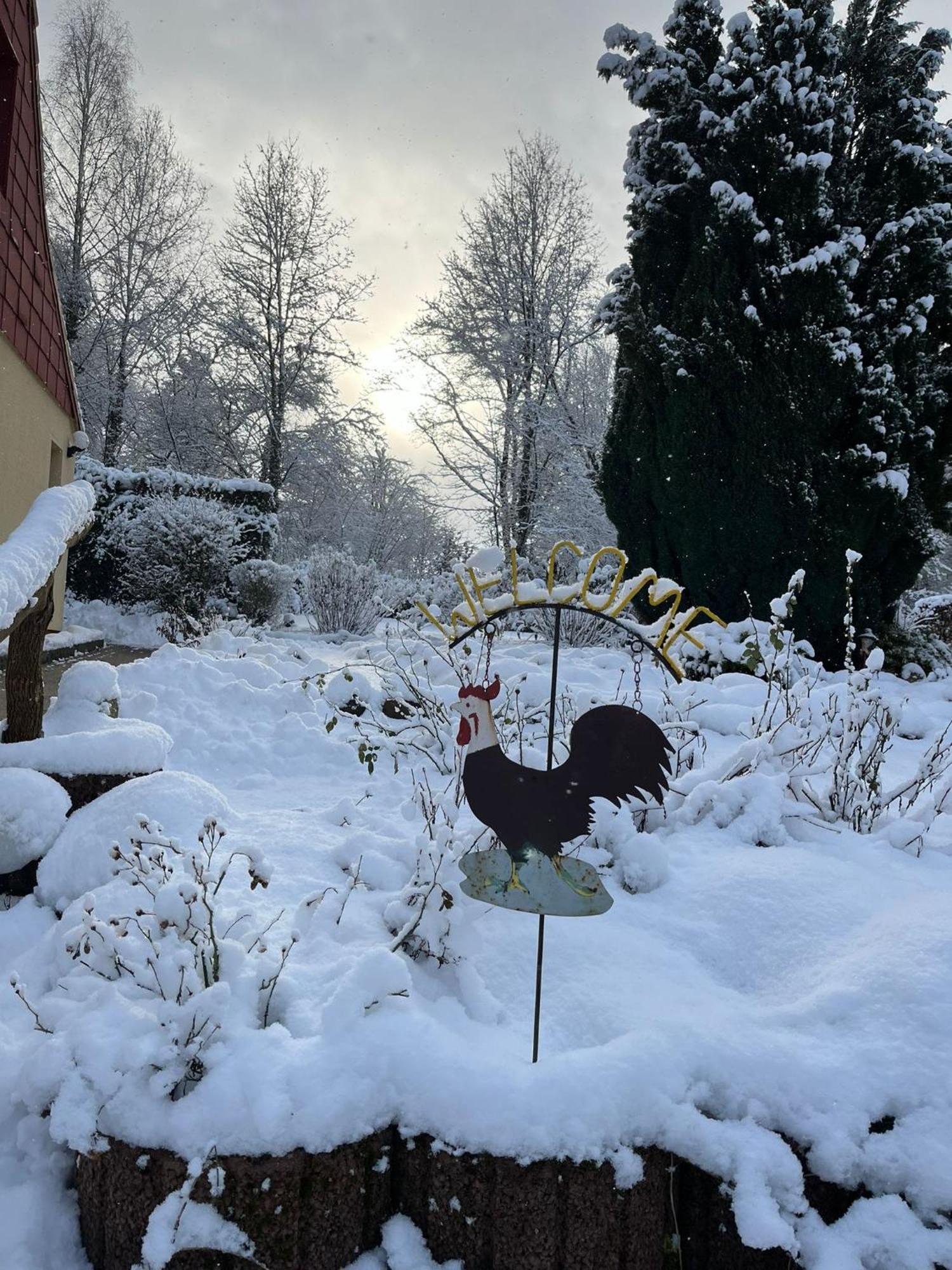 Pension Sander Hotell Bispingen Exteriör bild